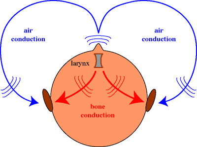 diagram of air and bone conduction